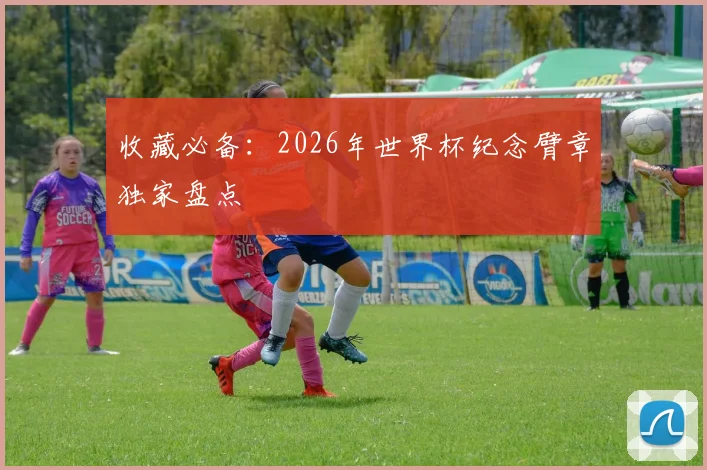 收藏必备：2026年世界杯纪念臂章独家盘点