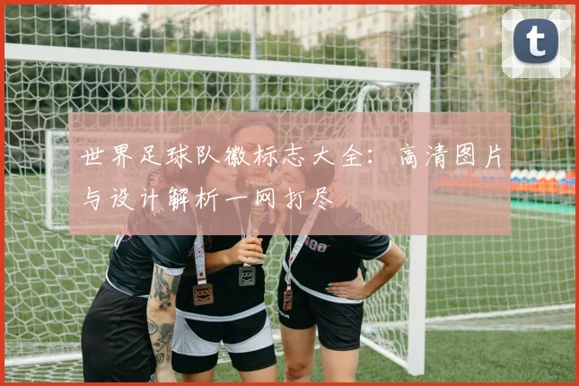 世界足球队徽标志大全:高清图片与设计解析一网打尽