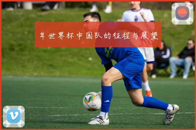 年世界杯中国队的征程与展望