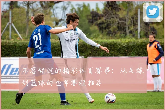 不容错过的精彩体育赛事:从足球到篮球的全年赛程推荐